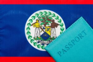 Online Immigration System for Belize Travellers: Key Insights