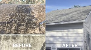 Discover the Transformative Advantages of Soft Washing for Effective Home Maintenance