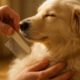 Flea Combing Routines: Essential Tips for Your Pets