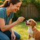 Effective Training Schedules for Pups: Housebreaking Tips