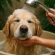 Pet Bath Water Conservation Tips for Aussie Households