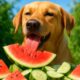 Seasonal Diet Adjustments for Pets: Essential Health Tips