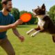 Frisbee Throwing Techniques to Train Your Dog Effectively