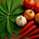 Cassava Leaf Stew Recipes for Healthy Family Meals