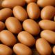 Fermented Locust Bean: Simple Guide to Making Ogiri at Home