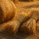 Hay and Straw: Fresh and Creative Cooking Recipes