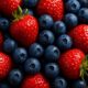 Preserving Summer Berries: Tips for Freshness and Enjoyment