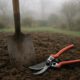 Martock’s Seasonal Care: Essential Garden Maintenance Tips