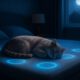 Temperature-Controlled Beds for Pets: Ensuring Ultimate Comfort
