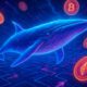 Whale Wallet Monitoring Techniques for Effective Tracking