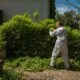 Green Waste Solutions: 4 Effective Disposal Methods