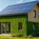 Entry-Level Property in Springs: Essential Insights for Buyers